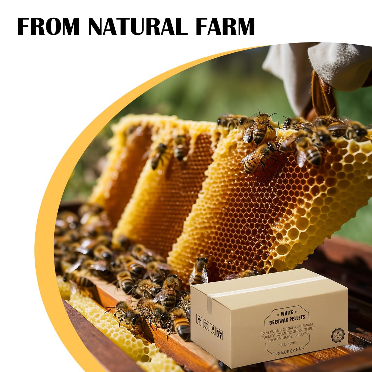 Beeswax Pellets 10LB, Organic White Bees Wax for DIY Candles, Beeswax for Candle Making, Skin, Body, Face, and Hair Care, Lotions, DIY Creams, Lip Balm and Soap Making Supplies Lomangdi