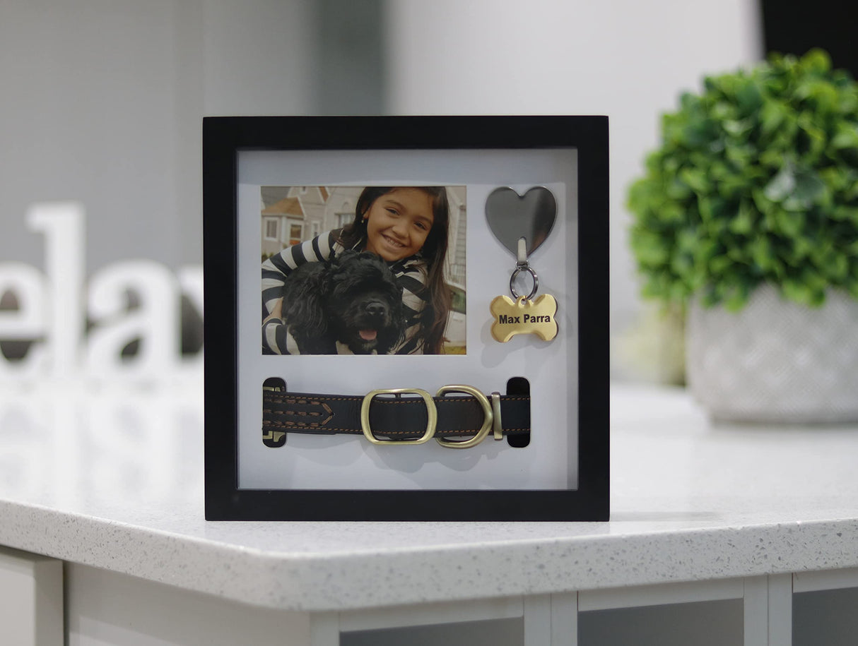Daily Power-tivity Pet Memorial Picture Frame Shadow Box - Dog Gift Keepsake wCollar Mount and Heart Hook Forever In Memory, Remembrance Show Sympathy For Your BONUS TWO Mattes to choose from, Black Daily Power-tivity