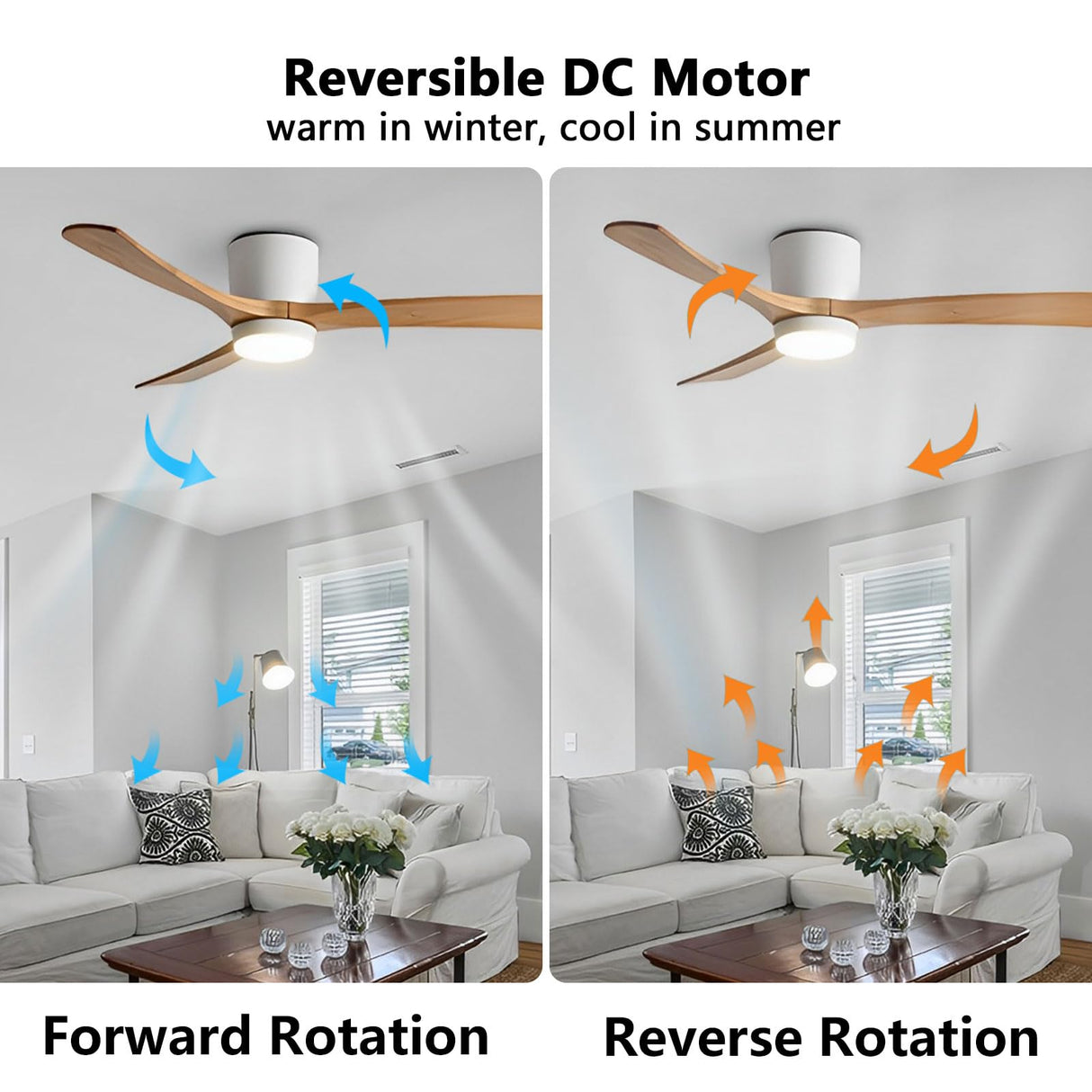 IBalody 36in Quiet Ceiling Fan with Light Remote ETL Listed White Ceiling Fan Light 6 Gear Wind Speed, Solid Wood Blades Modern Indoor Ceiling Fan for Bedroom Living Room Dining Room IBalody
