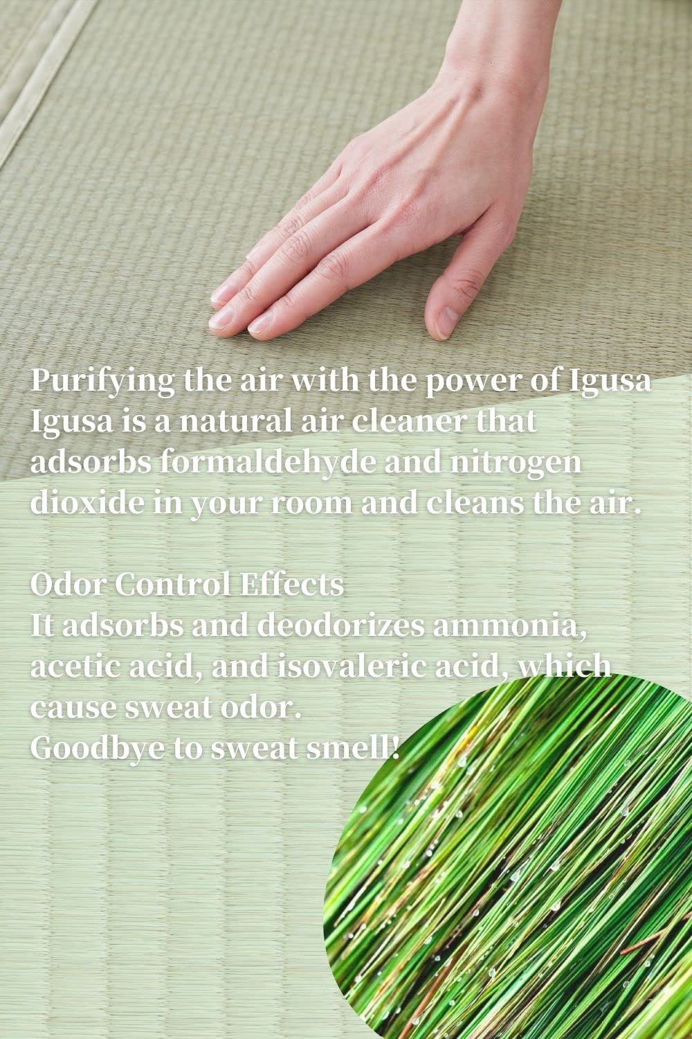 BJDesign Japanese Tatami Mat (Igusa Mattress), Foldable, Rush Grass, Floor Sleeping Japanese Futon Mattress Meditation Yoga Zen (Twin XL) BJDesign