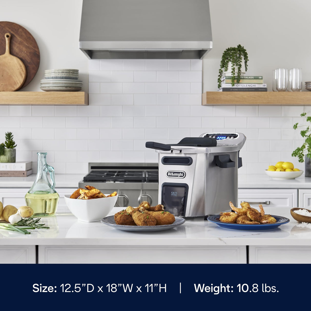 DeLonghi Livenza Deep Fryer, Silver - 1-Gallon Oil Capacity - EasyClean System - Adjustable Thermostat - Cool Touch Handles - Dishwasher Safe De'Longhi