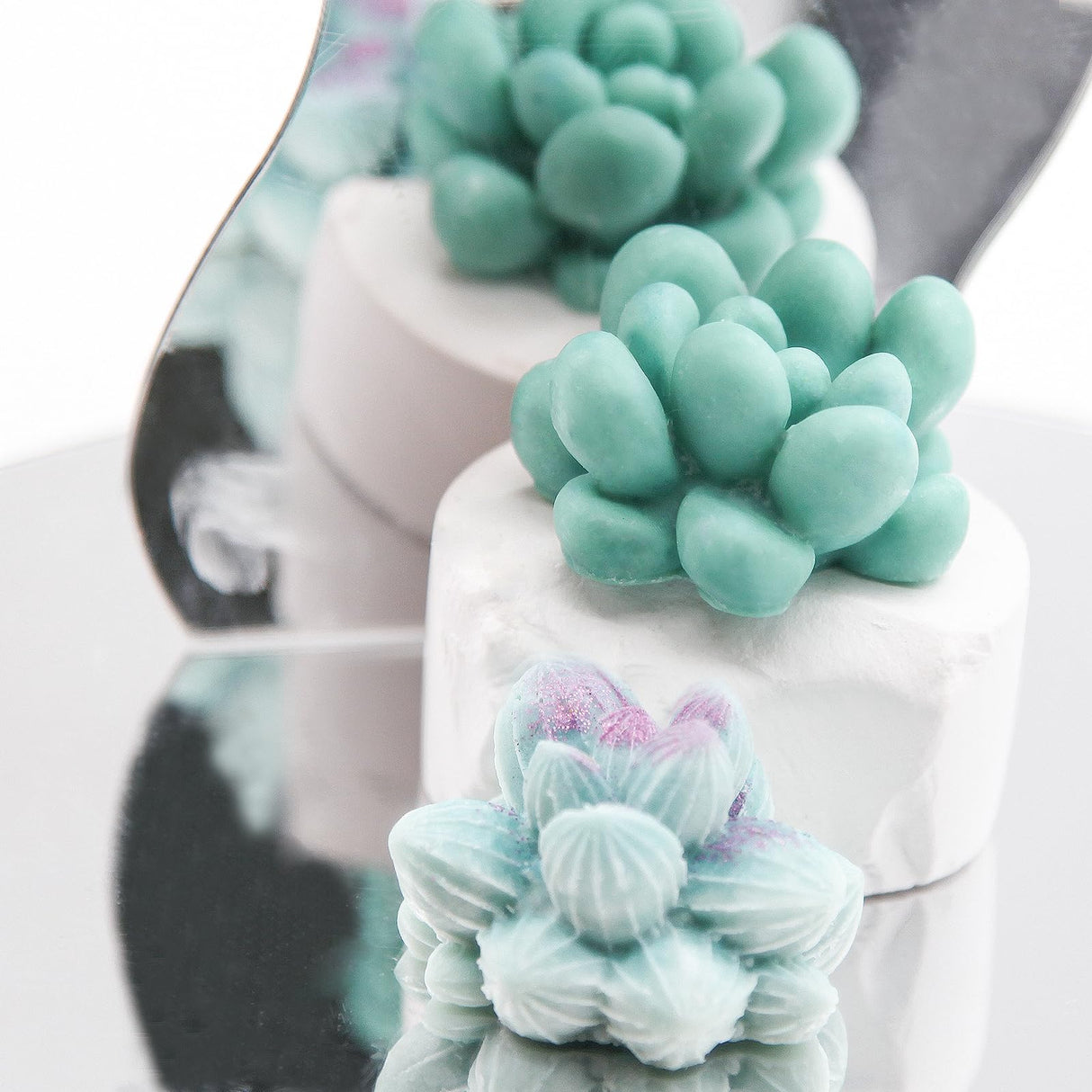 EuTengHao Succulent Silicone Molds, 3D Flower Resin Mold for Candle Soap Cake Decoration Making, Plant Flower Wax Scented Candle Soap Silicone Molds (10Pcs) EuTengHao