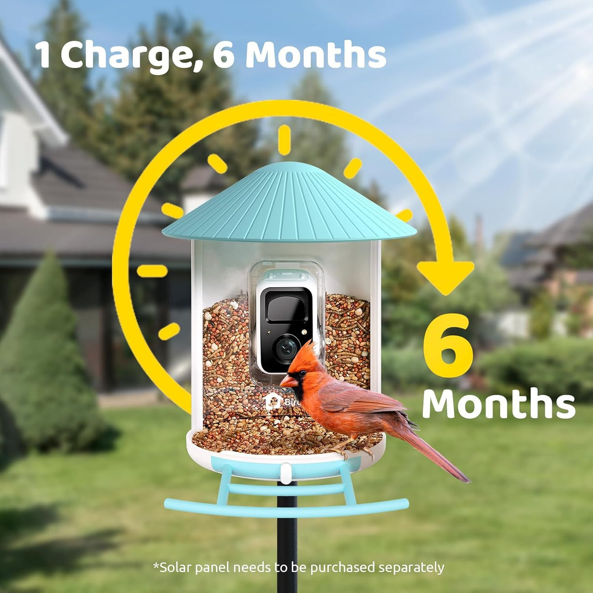 NETVUE by Birdfy Smart Feeder with Camera Solar Power, Smart Birdwatching Camera, Auto Capture Videos & Notify, Ideal Gift for Family NETVUE