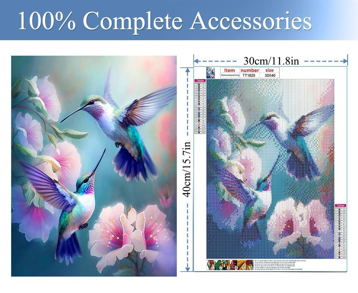 JFYHAB Hummingbird Diamond Painting Kits for Adults - DIY Birds Diamond Art Kits for Adults, Diamond Dots 5D Paint with Diamonds Pictures Gem Art Kits Crafts Kits for Home Wall Decor 12x16inch JFYHAB
