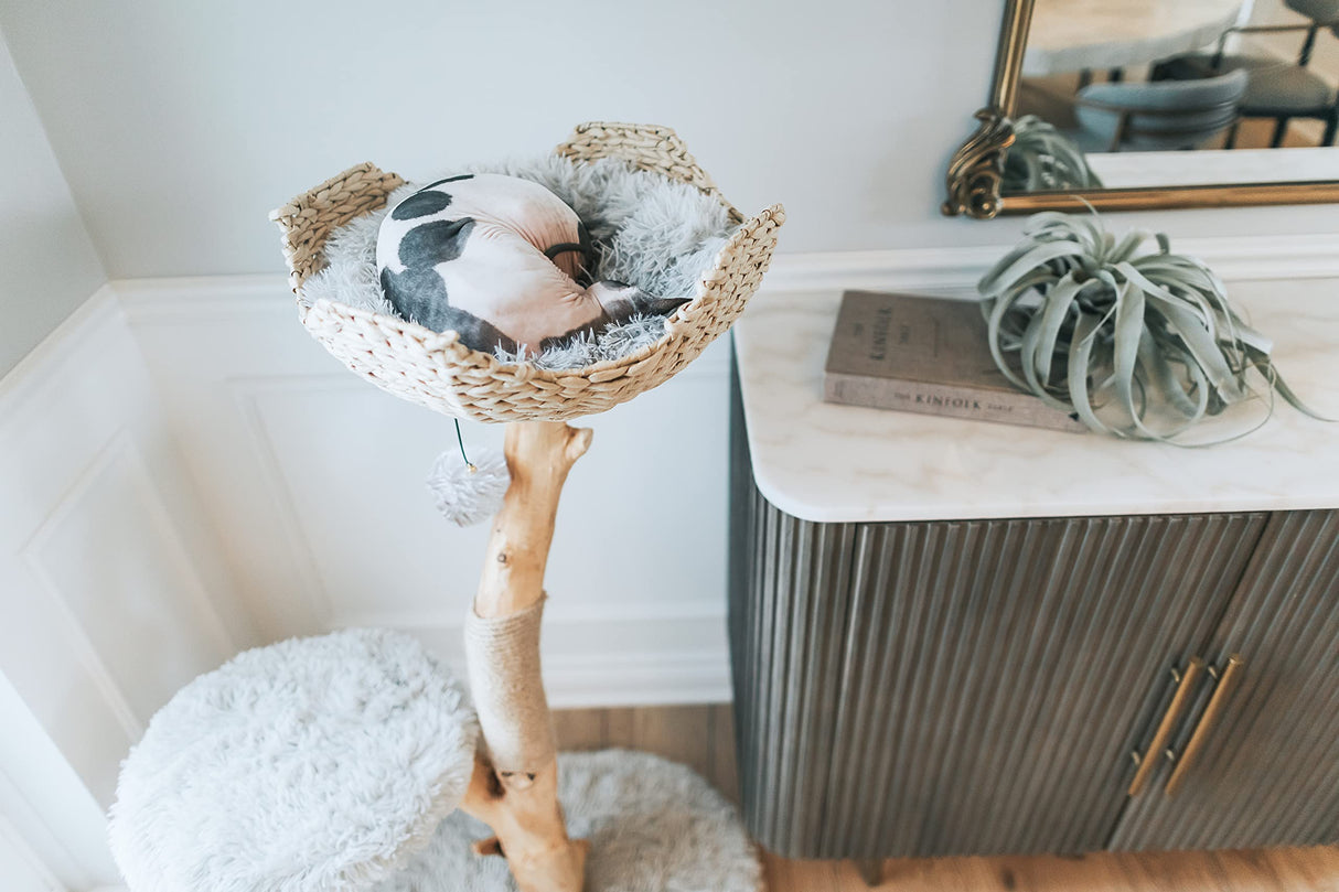 Wooden Cat Tree Tower, Modern Single Branch Cat Condo, Wood Cat Tree, Cat Climbing, Furniture for Cat, Cat Lover Gift, Cat Furniture,Cat Gift by MAU LIFESTYLE (Bullet Gray) Mau Lifestyle