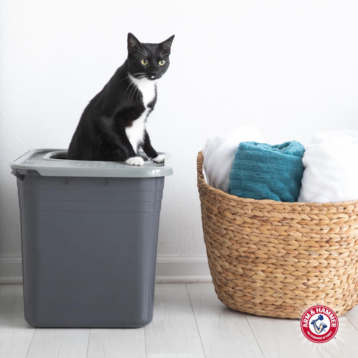 Arm & Hammer Premium Top Entry Litter Box with Filter to Clean Paws and Microban, Made in USA Arm & Hammer
