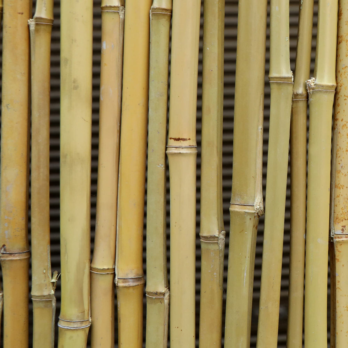 Bamboo Fence 6 Feet High, Outdoor Privacy Screen, Rolled Natural Fencing, 8ft x 6ft, 8 Foot Long Roll, Backyard Wall Covering, Private Screening Cover Panel for Patio, Balcony, Railing | Houseables Houseables