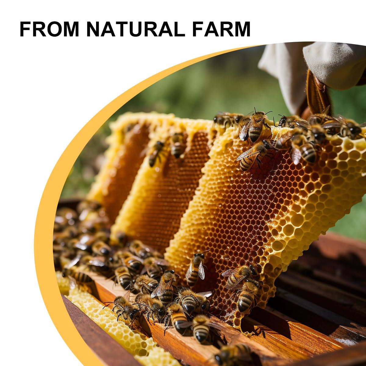 8LB Beeswax Pellets, White Beeswax, 100% Organic Beeswax for Candle Making, Body, Skin Care DIY, Lip Balm and Soap Making Supplies Amastika