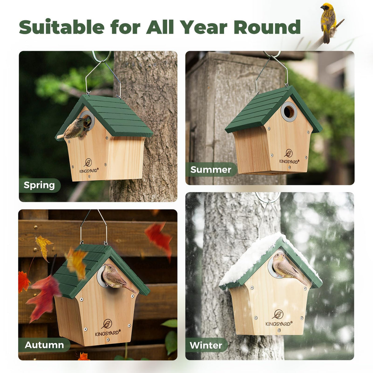Kingsyard Wooden Bird House with Predator Guard, Wren Bird Nesting for Outdoor, Garden Patio Nest Box for Wild Bird Watching, Green Kingsyard