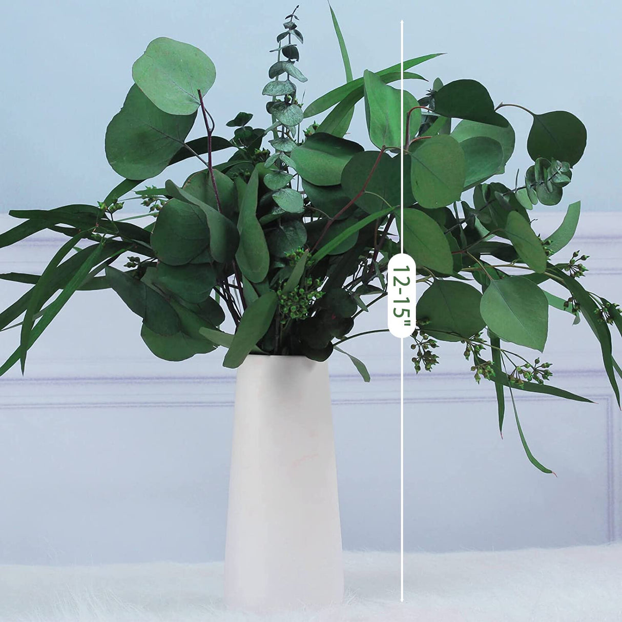 12 Pcs Mixed Real Dried Eucalyptus Leaves Stems - Preserved Eucalyptus Branches, Silver Dollar Eucalyptus, Seeded Eucalyptus Bouquets for Vase Floral Arrangements Wedding Greenery Decor Glicrili