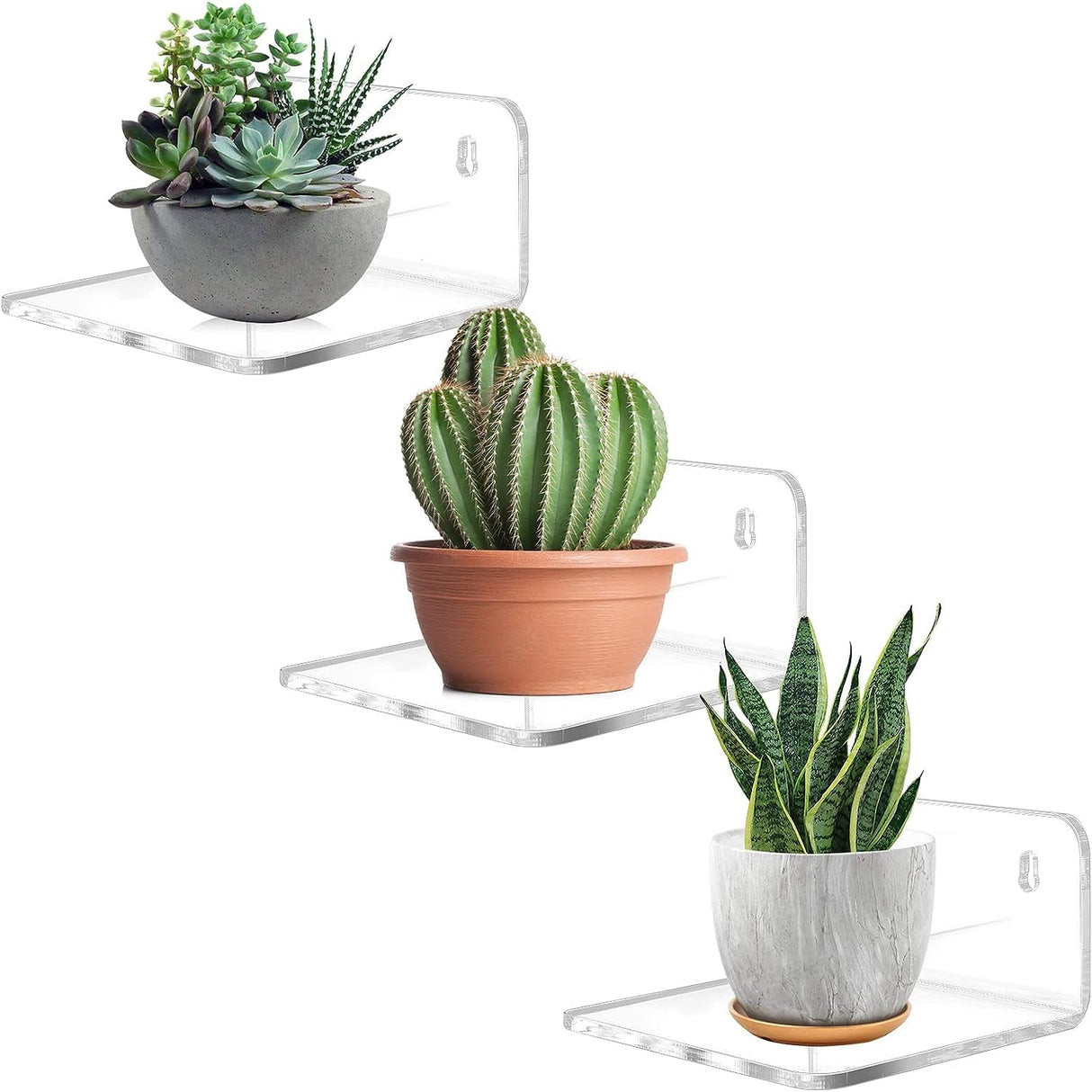 Trailwalk Acrylic Small Shelf,Mini Floating Wall Shelf,Wall Mounted Storage Shelf,for Pop Figures,Plant,Picture Photo Modern Wall for Office Bedroom Living Room,Clear (3 Pack) Trailwalk