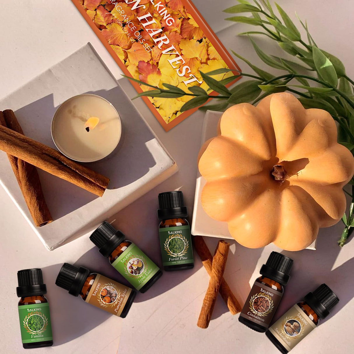 SALKING Autumn Fragrance Oils, Premium Fall Essential Oils for Diffuser, Scented Oils Gift Set for Soap Candle Making Scents - Cinnamon, Pumpkin Spice, Apple Cider, Vanilla, Forest Pine, Snickerdoodle SALKING
