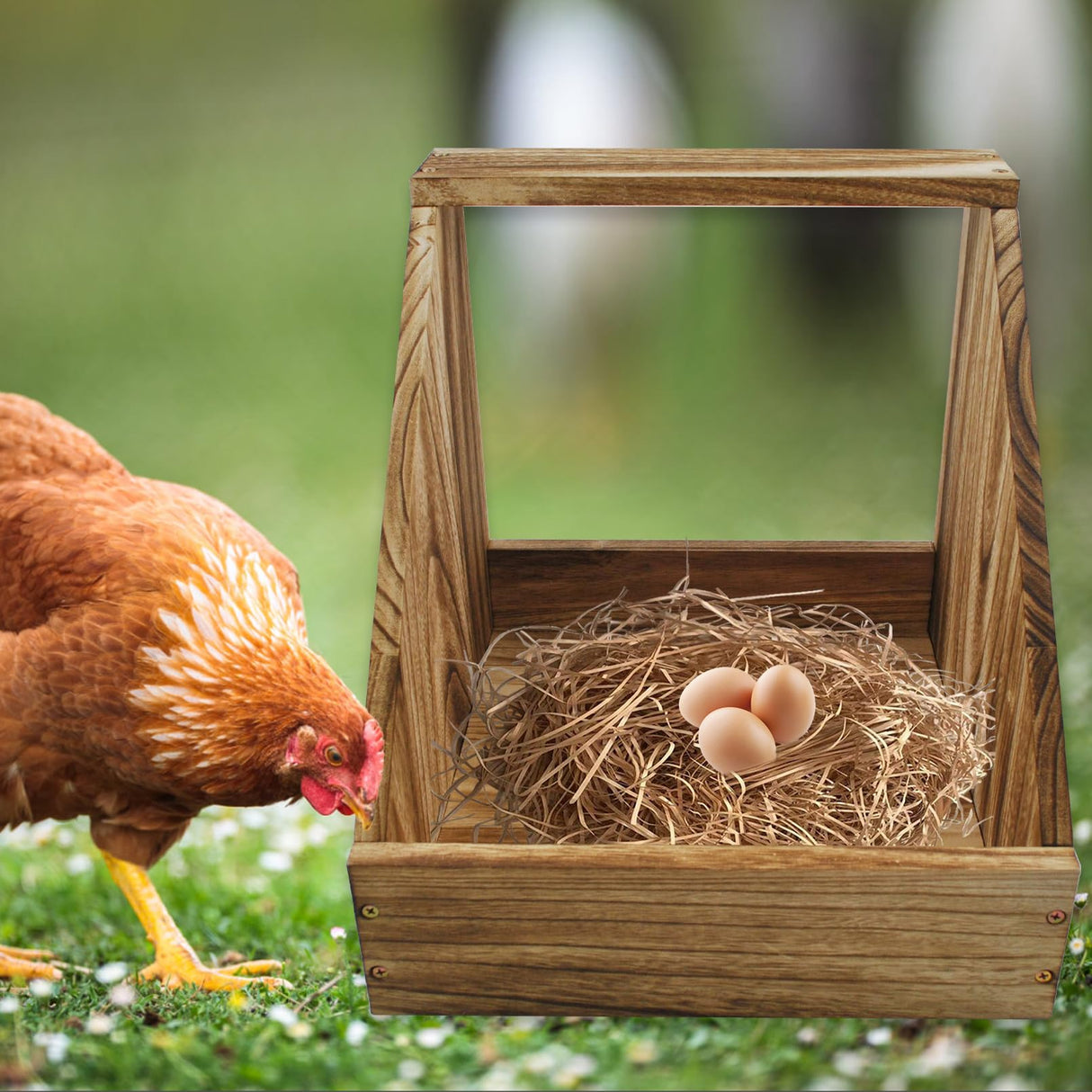 kathson Chicken Nesting Box,Wood Chickens Coop Nesting Boxes Single Compartment Hen Nesting Box Big Duty Laying Nest Boxes for Hens Ducks and Poultry(1 Pcs,No Perch) kathson
