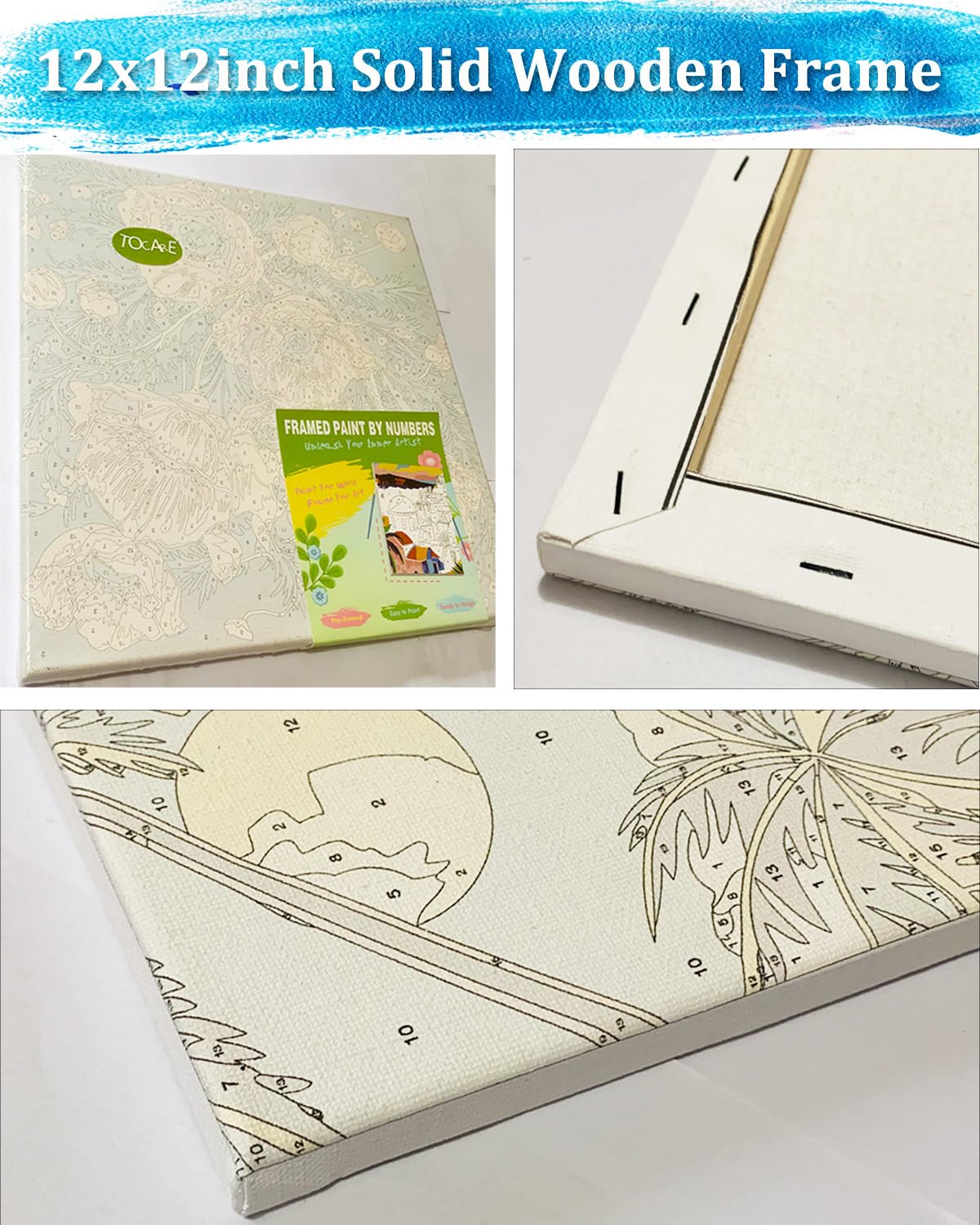 TOCARE Framed Paint by Numbers Kit for Adults Beginners,12x12inch Dragonfly Paint by Number with Frame,Flowers Paint by Numbers Framed Canvas(Without Easel) TOCARE