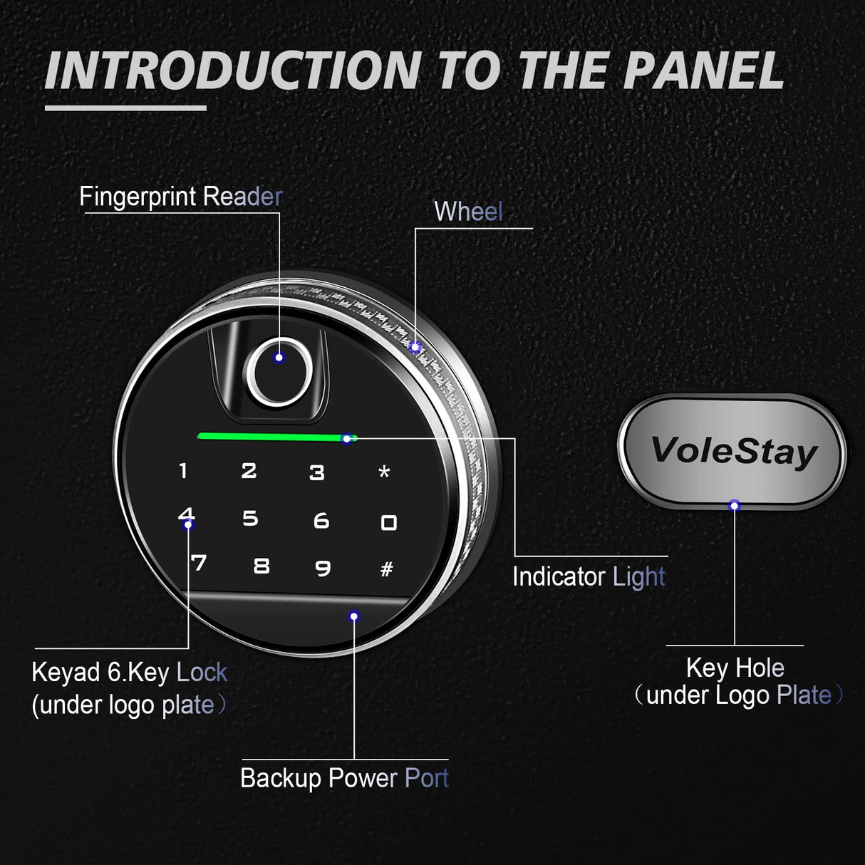 Biometric Home Safe, Fingerprint Gun Safe Lock Box,Money Box for Jewelry Handgun Cash Valuables,Perfect for Home/Office/Hotel, Black, 2.05 Cubic Feet VoleStay