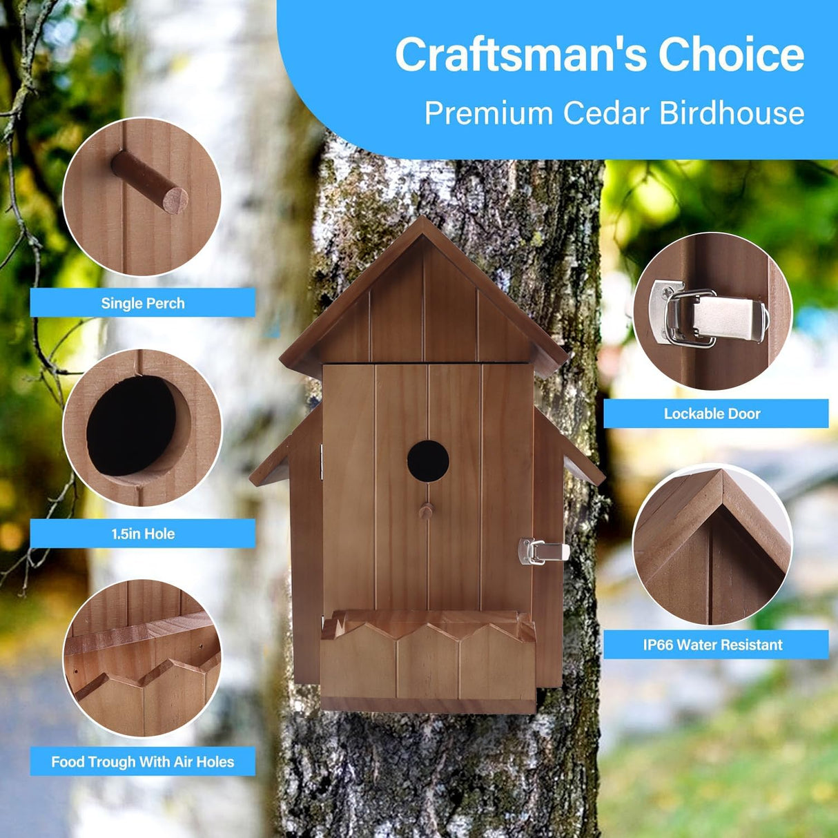 Q-DIRT PRO Bird House with Camera, Smart Birdhouse with Camera Solar Power, 1080p HD WiFi Outdoor Bird Box, Auto Capture Bird Videos & Motion Detection, Nesting Box for Birds (Dark Color, Normal) Q-DIRT PRO