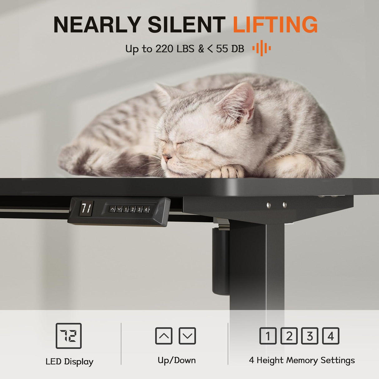 Furmax Electric Standing Desk, 59 x 24 Inches Height Adjustable Desk with Wheels, Home Office Computer Desk with Management Box (Carbon Black) Furmax