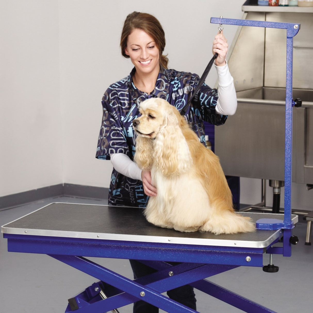 Master Equipment Master Equip Xtend Electric Grooming Table, Blue Master Equipment