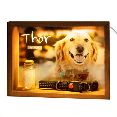 Jettiplex Shadow Box Frame for Dog Memorial - Pet Loss Sympathy Gift, Custom Paw Print Kit, Dog Urn for Ashes, Keepsake Display Case(8-inch)