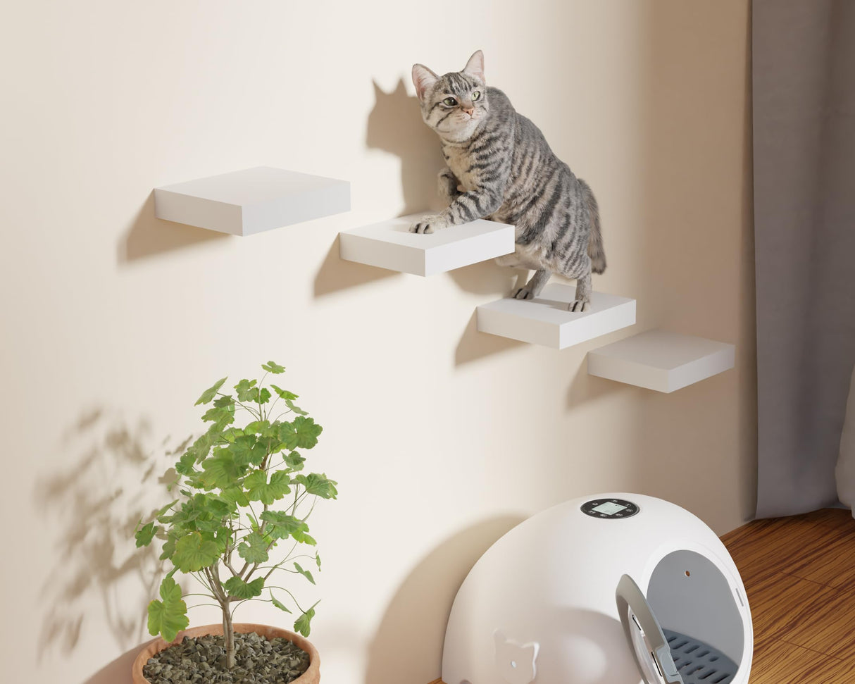 QsQueen Floating Shelves, Floating Shelves for Wall, Wall Shelves with Invisible Bracket, Bathroom Shelves, Bedroom Decor, Floating Shelf, Shelves for Wall Storage, Display Shelf, Set of 2 QsQueen