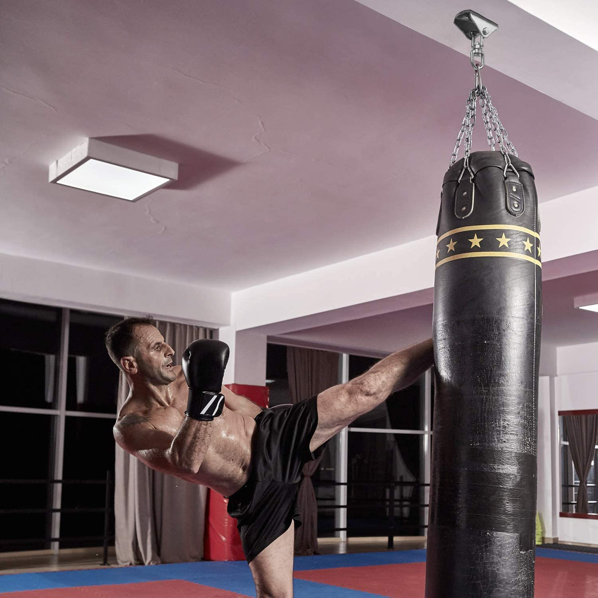 Yes4All 1000 LB Punching Heavy Bag Hanger, Steel Heavy Duty Swing Hanger Bolts for Wood and Concrete - 360° Swing Yes4All