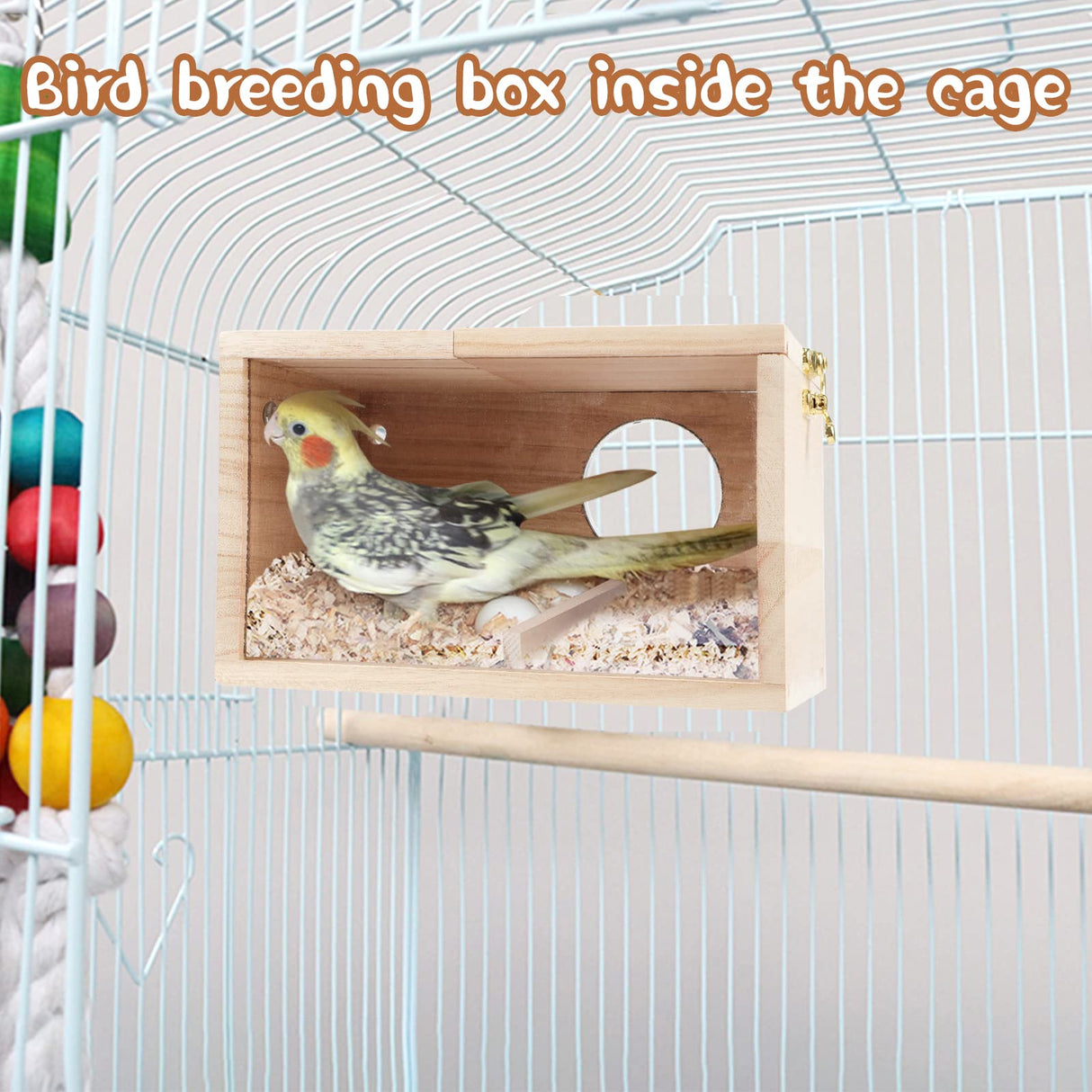 GINDOOR Parakeet Nesting Box Transparent Bird House for Cage Natural Wood Breeding Box for Parrot Parakeet Cockatiel Lovebirds Budgie Conure and Other Small Birds GINDOOR