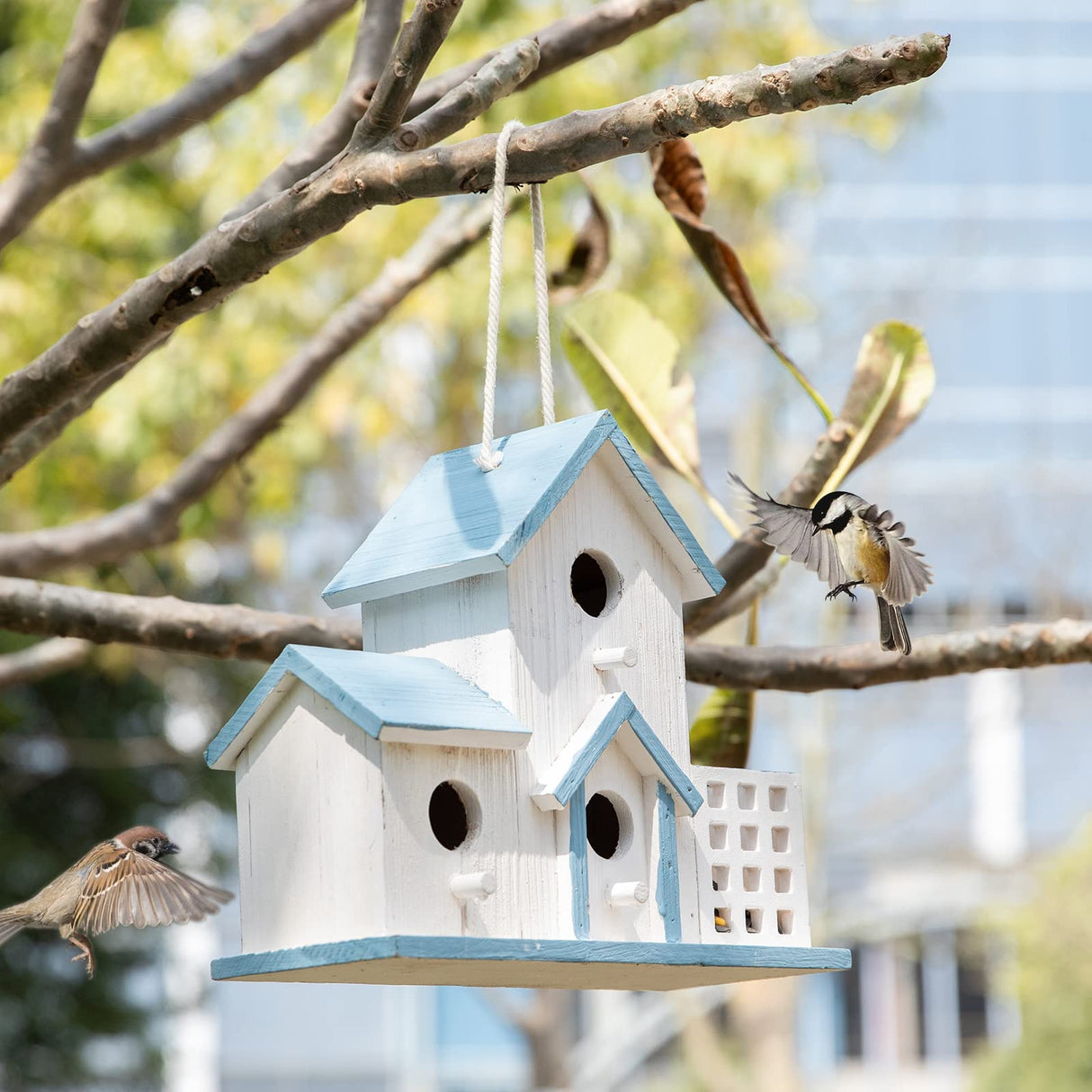 HHWODB Birdhouse Premium Bluebird Houses for Outside Attract Beautiful Birds to Your Garden and Yard Durable Outdoor Birdhouses 3 Hole Bird Houses for Outside Hanging HHWODB