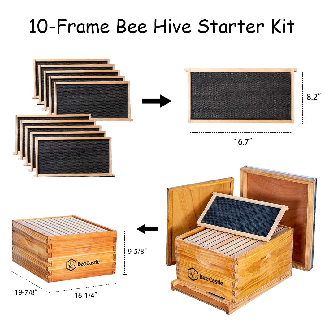 BeeCastle 10-Frame Bee Hives and Supplies Starter Kit,Beehive Kit Dipped in 100% Beeswax,Bee Keeping Supplies-All Beginners Kit Includes Beekeeping Supplies Tool Set and Bee Suit. BeeCastle