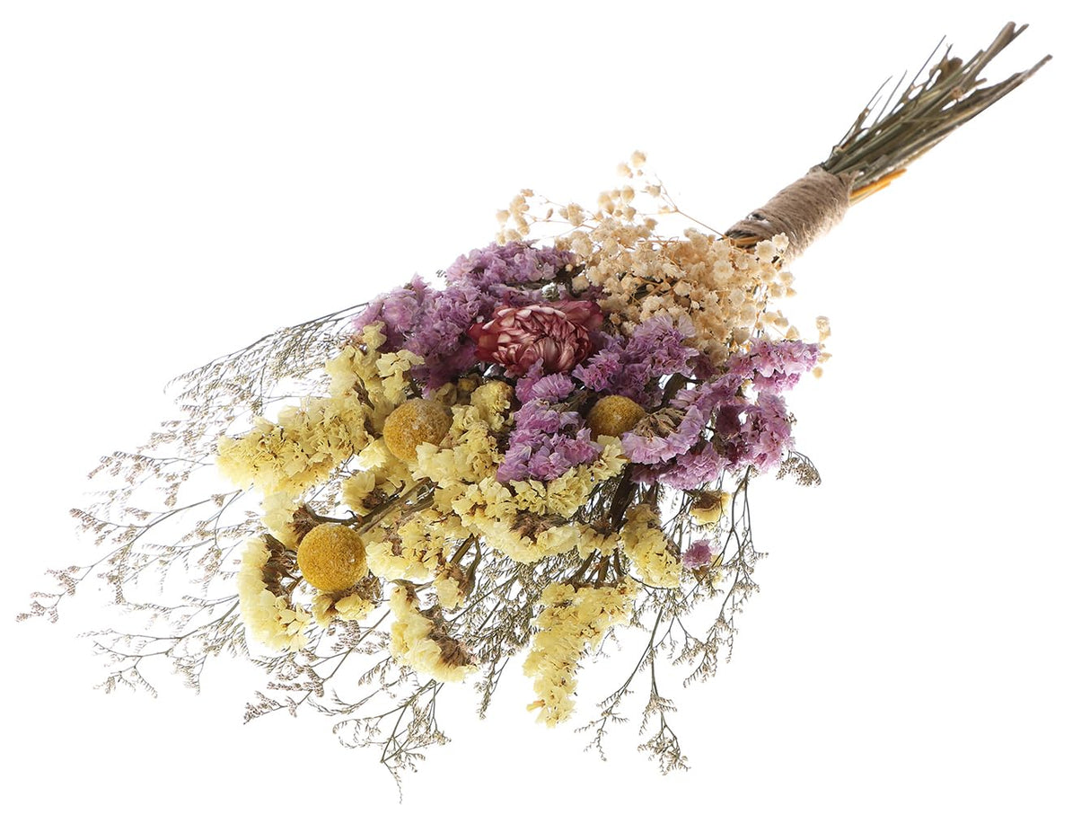 Botius 17" Natural Mixed Dried Flowers Bouquet Real Dried Lover Grass, Myosotis, Daisy, Craspedia Billy Balls Floral Arrangements for Boho Home Wedding Table Vase Décor Botius