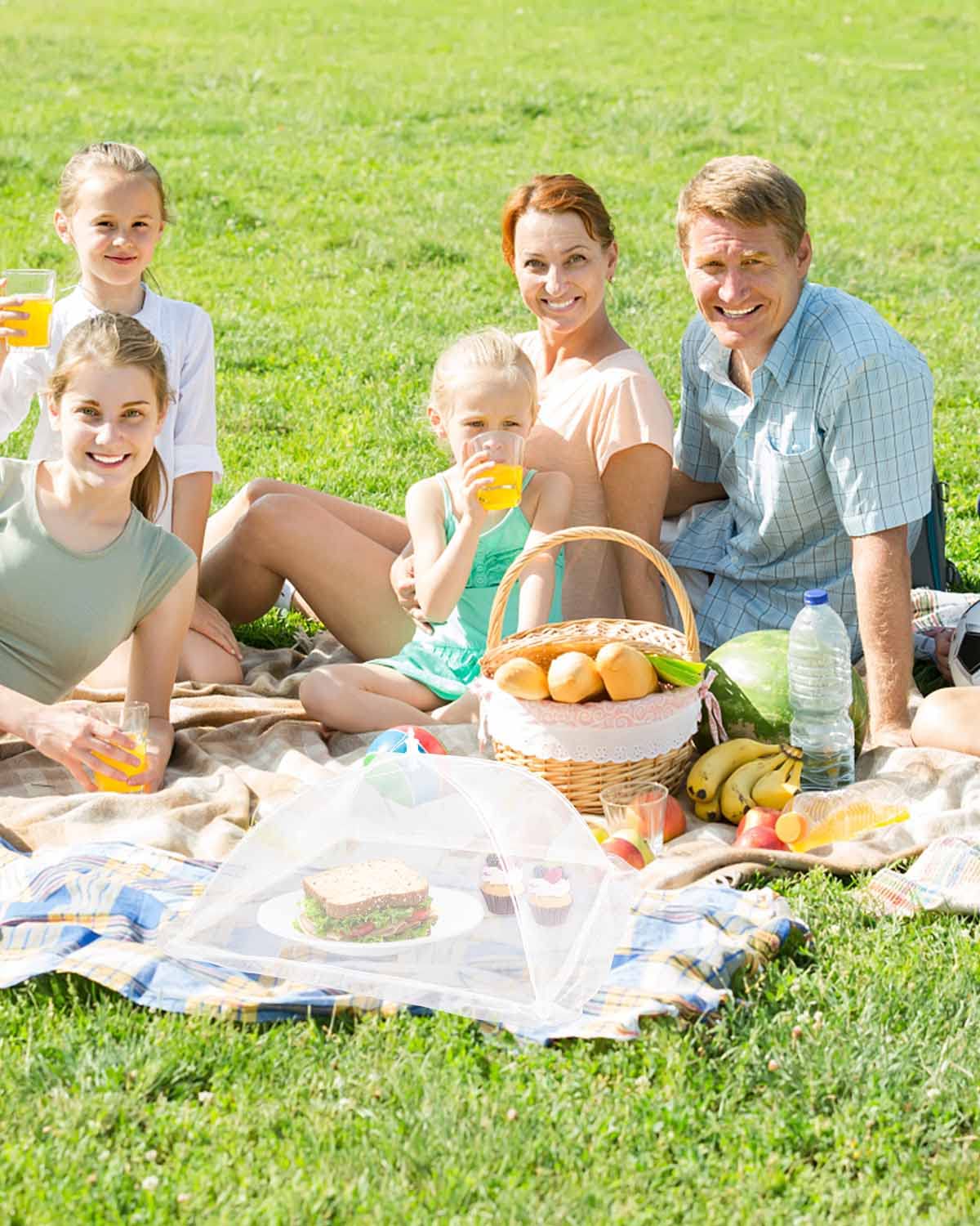 Lauon Large Food Cover,6 Pack Mesh Food Tent,17"x17",White Nylon Covers,Pop-Up Umbrella Screen Tents,Patio Net for Outdoor Camping, Picnics, Parties,BBQ,Collapsible and Reusable Lauon