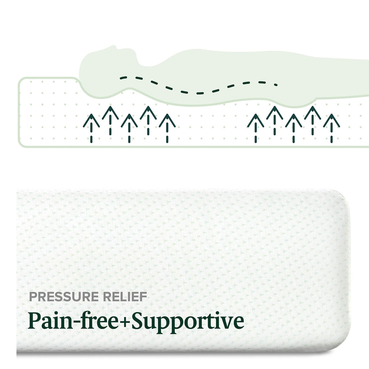 ZINUS 5 Inch Memory Foam Mattress, 75" x 30" (Narrow Twin), Fiberglass Free, Bunk Bed, Trundle Bed, Day Bed Compatible, White Zinus