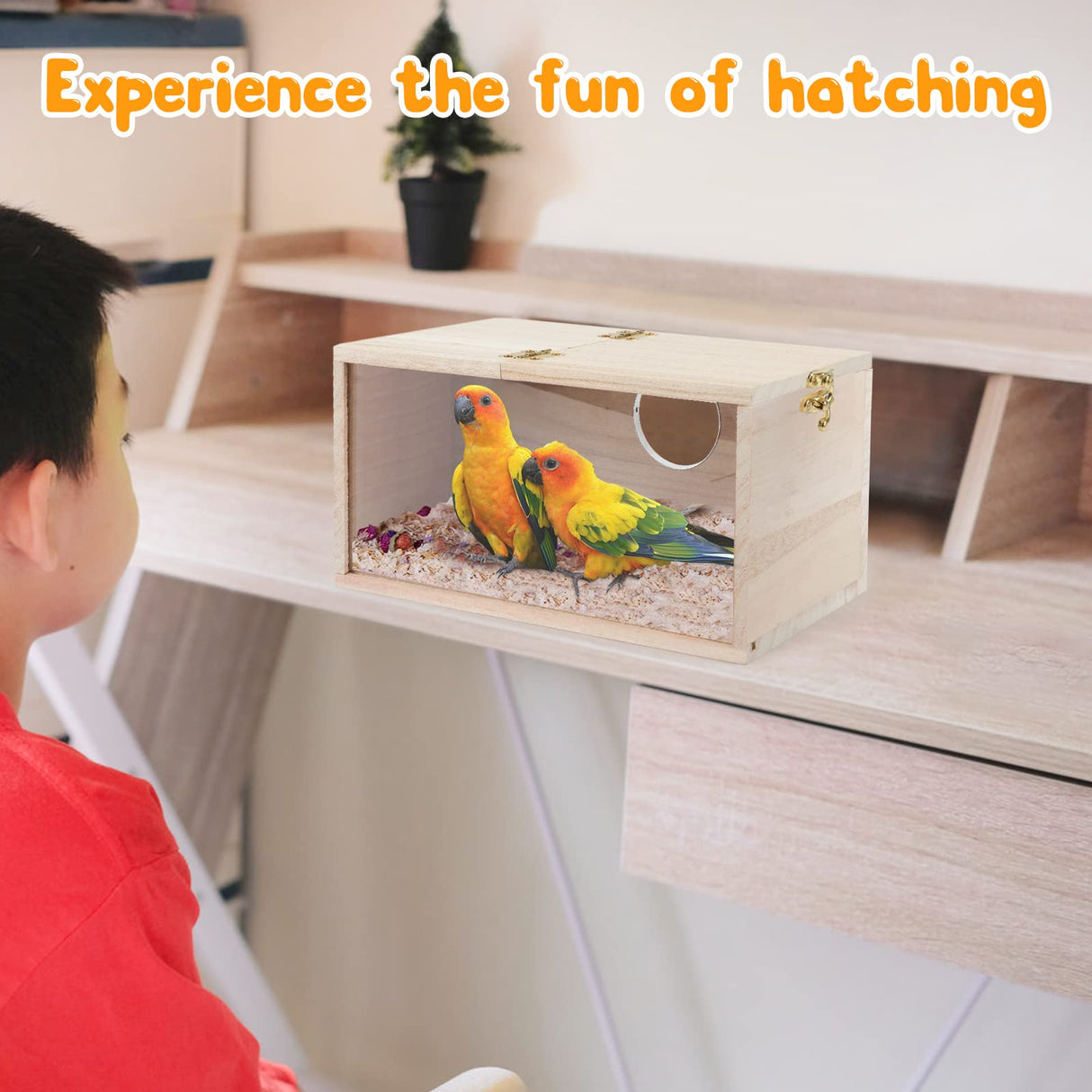 Rypet Parakeet Nesting Box Transparent Design, Thwartwise Bird Nest Breeding Box with Perch Wood Bird Cage House for Cockatiel Lovebirds Budgie Finch Parrotlets Canary M Rypet