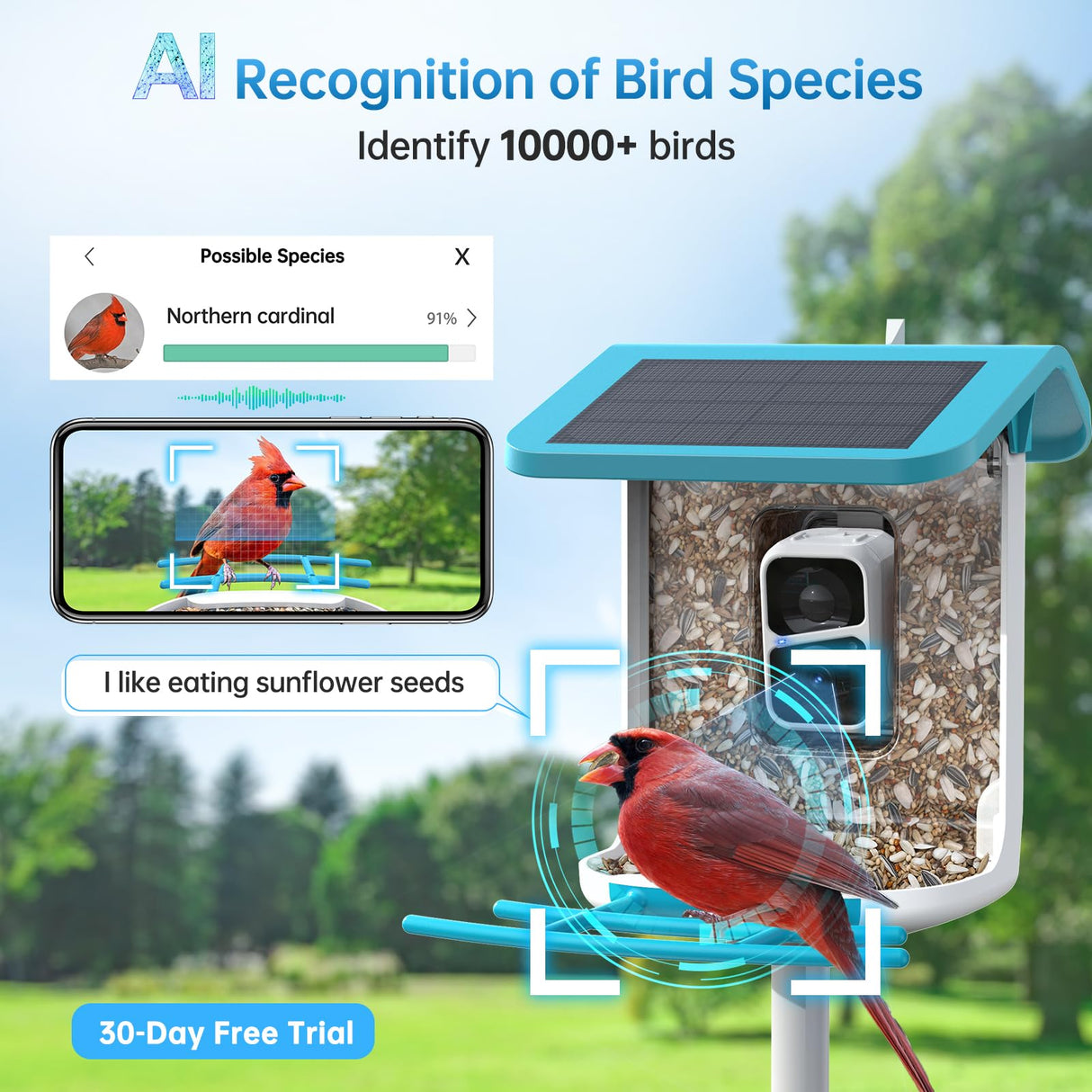 SMONET Bird Feeder with Camera B300: Smart Birdhouse Camera AI Recognition Solar Powered,Outdoor Wireless WiFi Birdfeeder Watching Live Video,Funny Birthday Gifts for Mom Mother Grandma Daughter SMONET
