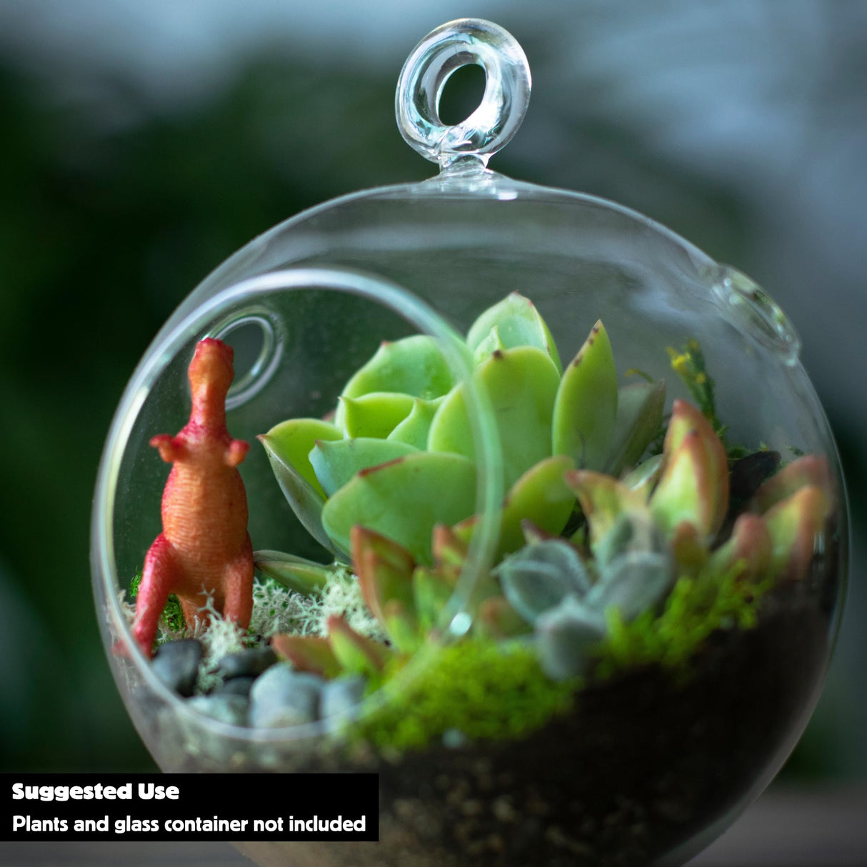 Cute Farms Terrarium Starter Kit | Moss, Vermiculite, Soil, Plant Food, Brush, Build and Care Guide | DIY Succulent Terrarium Kit for Adults and Kids Cute Farms