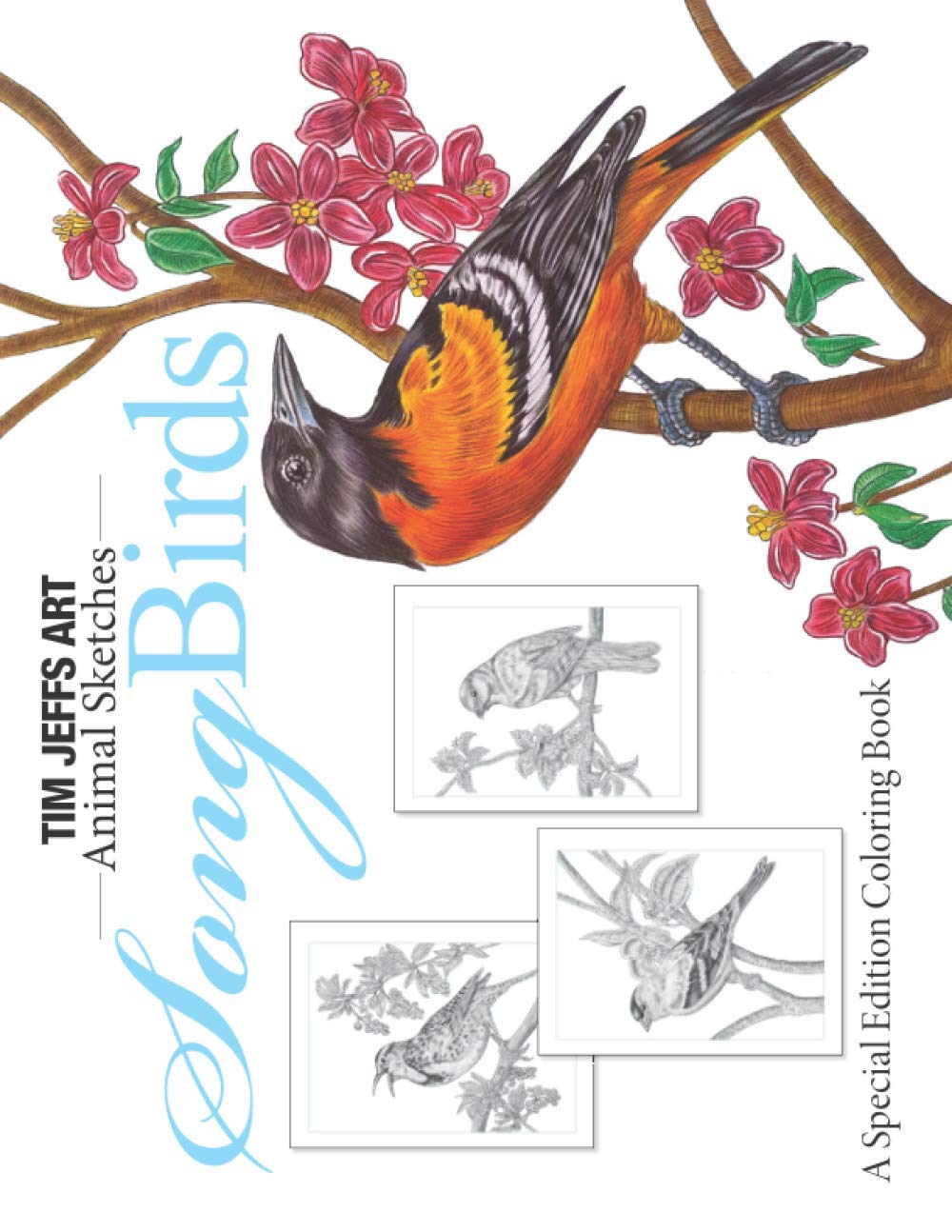 Song Birds: A Special Edition Coloring Book (Animal Sketches) Majosta