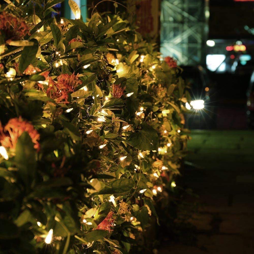 Brizled Warm White LED Christmas Lights, 2 Pack 33ft 100 Lights, Connectable for Trees, Home, Party, Indoor and Outdoor Decor Brizled