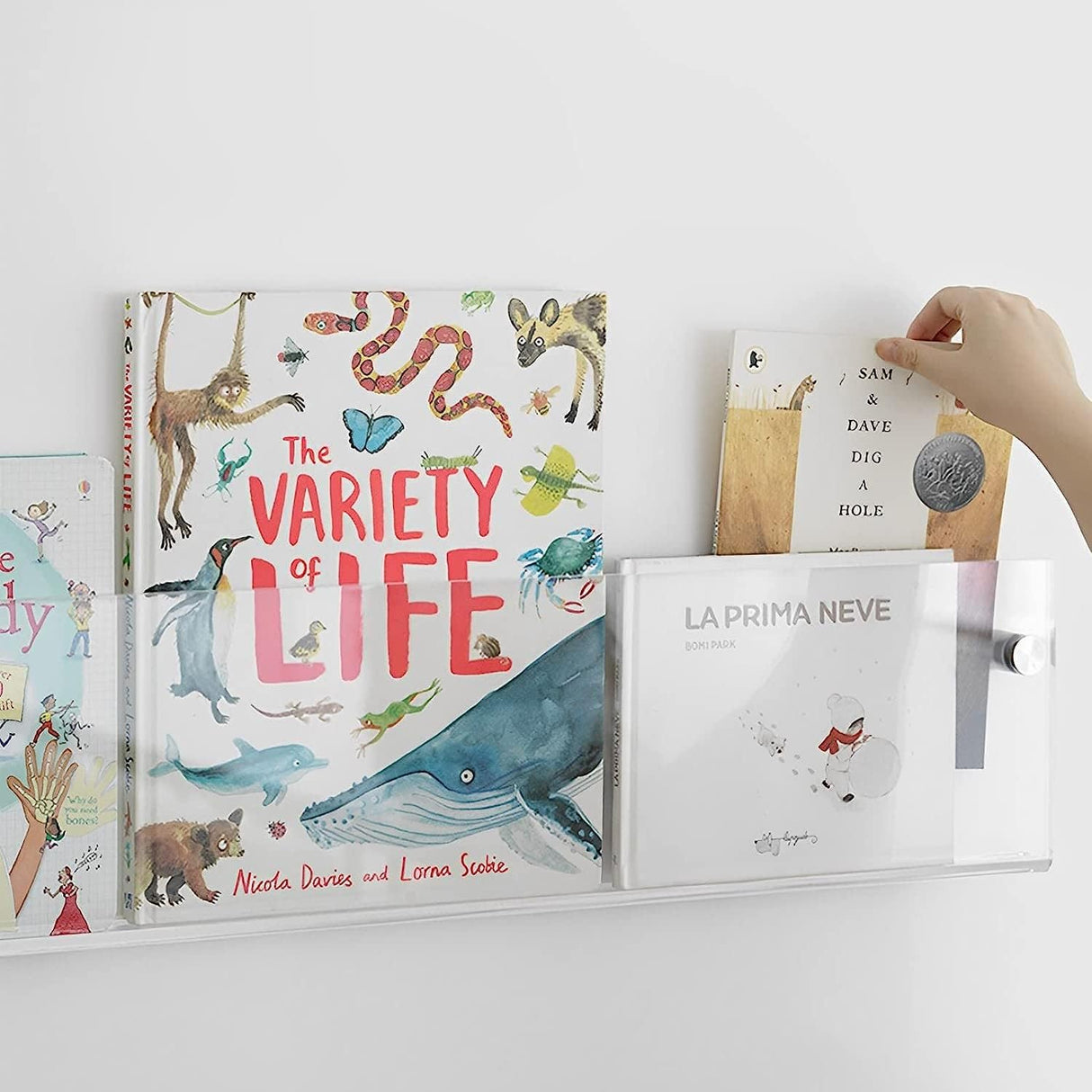 ROYALITA 2-Pack Acrylic Magazine Holder Brochure Holder, 17" Record Holder Magazine Rack, Fashion Hanging Bookshelf Literature Storage Rack for Waiting Room, Living Room, Office, Clear 17 Inch ROYALITA