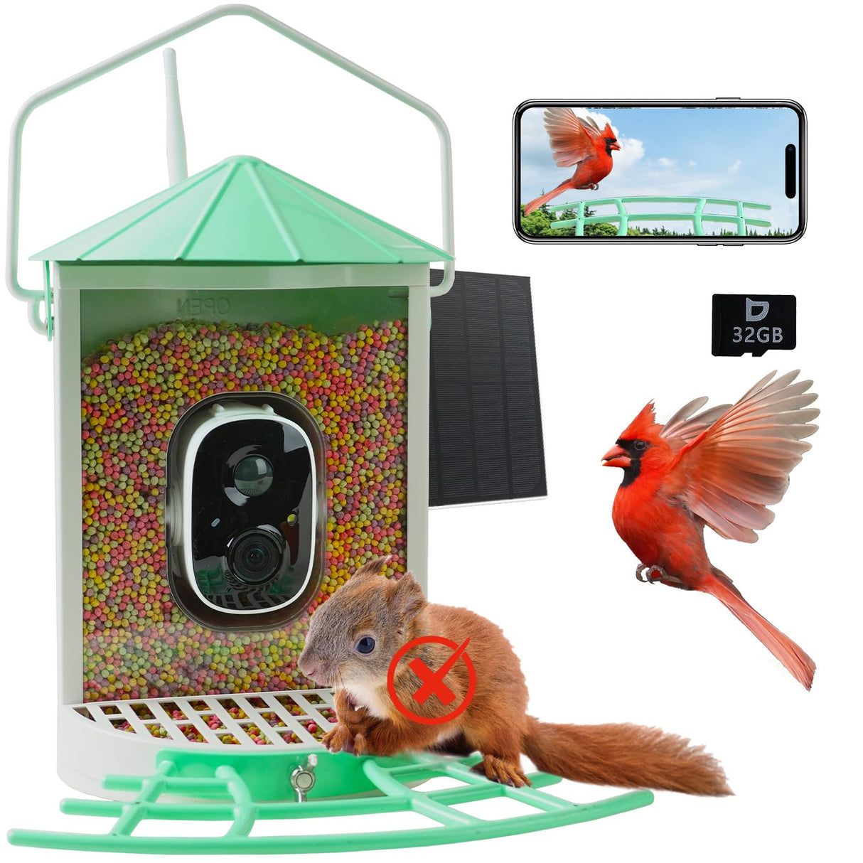 Birdkiss Bird Feeder Camera Smart: Wireless Bird House with Solar Panel - Motion Activated & Watching HD Bird Video - Metal Squirrel Proof Birdfeeder Birdkiss