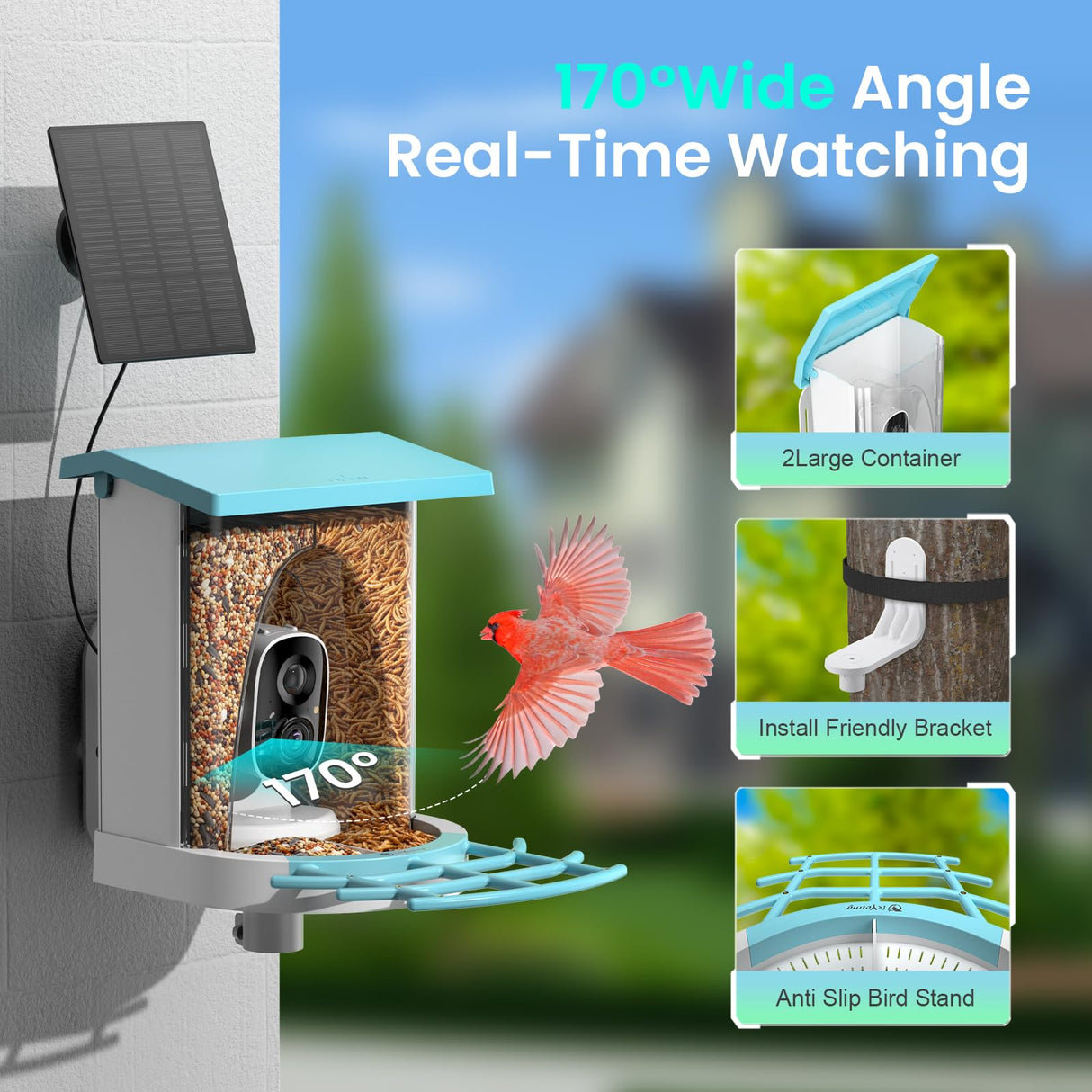 isYoung Birdlook® Smart Bird Feeder with Camera,2K HD Dual Granary Bird Feeder Camera, AI Auto-Capture & Motion Detection, 5W Solar, 170° View, AI Identify 16000+ Birds,Ideal Gift for Bird Lovers. isYoung