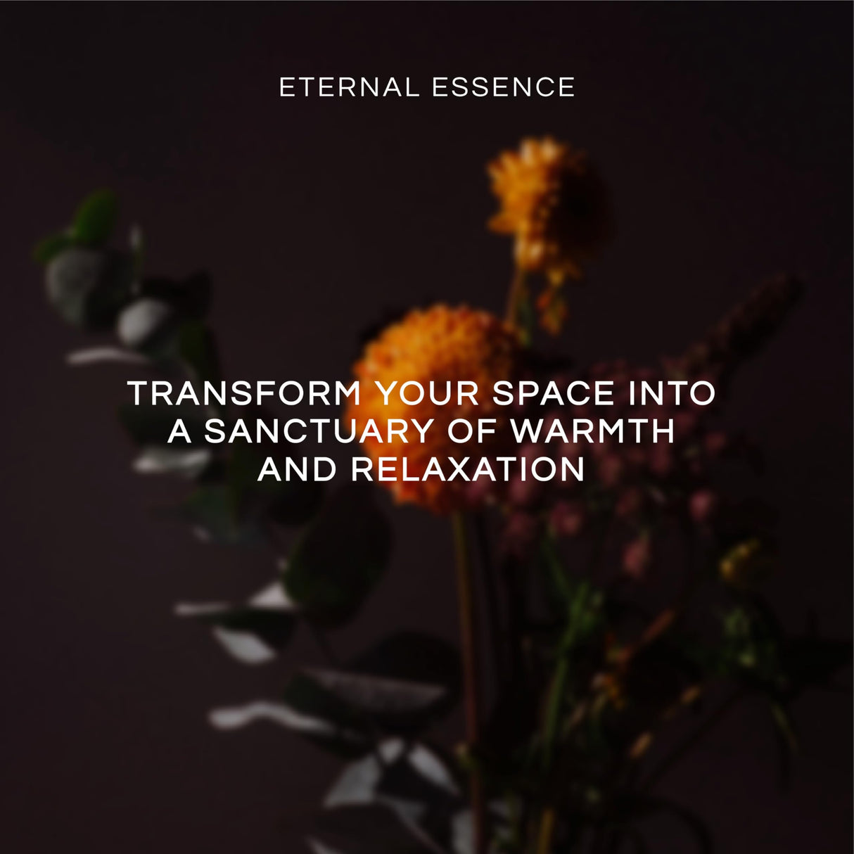 Eternal Essence Oils Beach Set of 6 Premium Fragrance Oils - Includes White Sand, Ocean Breeze, Honolulu Sun, Mermaid, Caribbean Escape, and Sun & Sand Scented Oils - 10ML Eternal Essence Oils