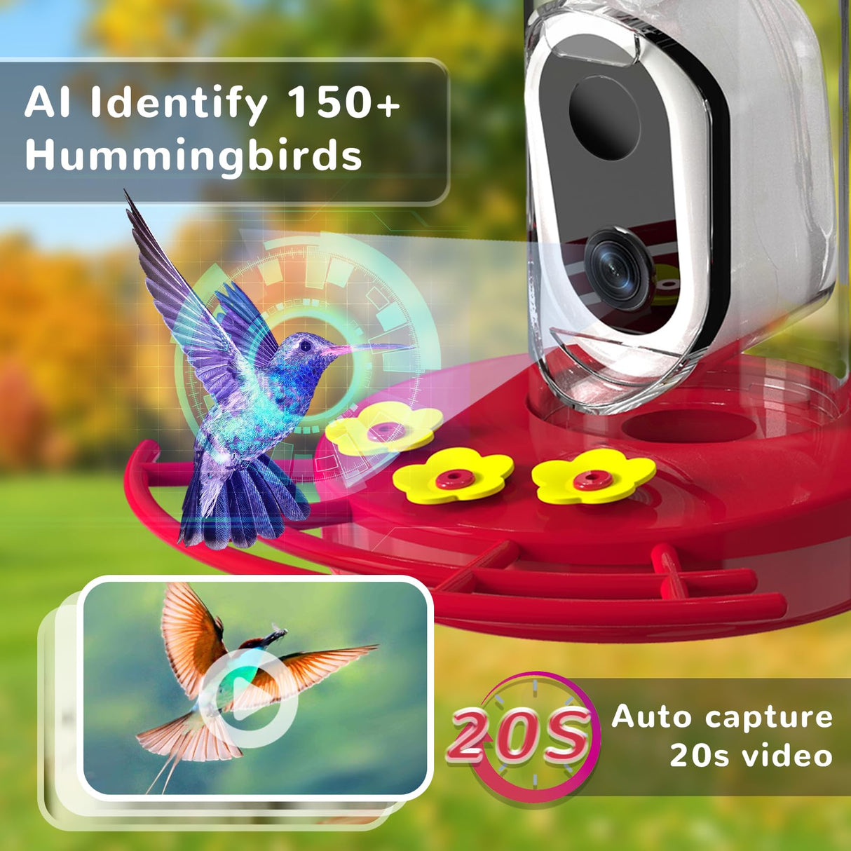 Smart Hummingbird Feeder with Camera, Outdoors Bird Feeder Camera Solar Powered, AI Identify Bird Species and Cloud Storage, HD Auto Capture Bird TT Nature