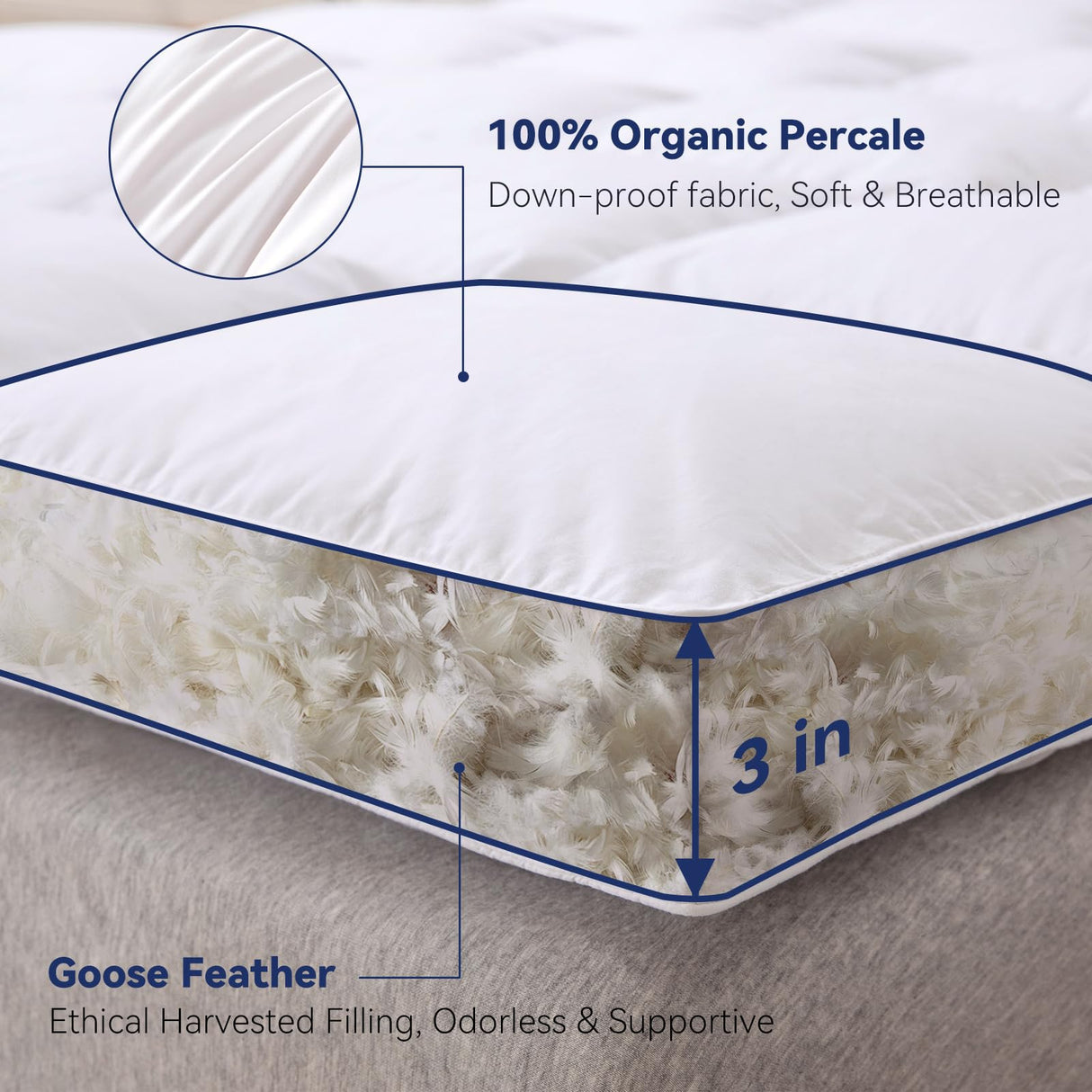 LeWinBedding 3 Inch White Goose Feather Mattress Topper,Twin Feather Bed Topper,Mattress Cover with Straps,Ultra Soft Pillowtop,100% Organic Cotton Fabric(39”x75”) LeWinBedding