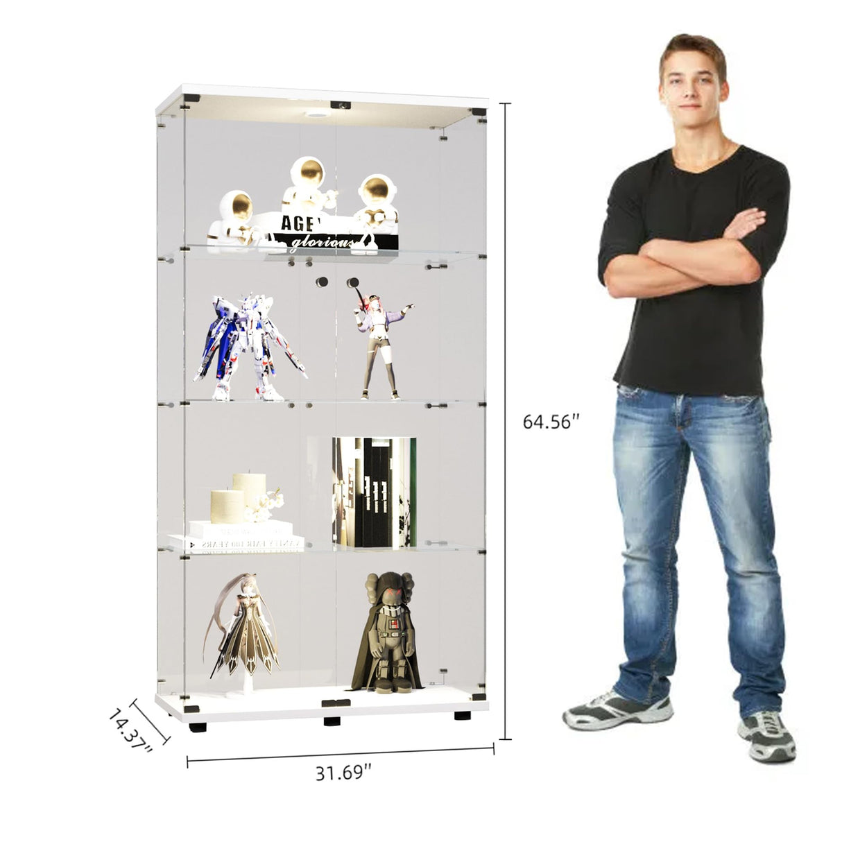 Zacis Glass Display Cabinet with Lights and Lock, 4-Tier Display Case Curio Cabinet with Glass Door, Floor Standing Showcase for Living Room Bedroom Home Office 31" W x 14.3" D x 64.5" H Zacis