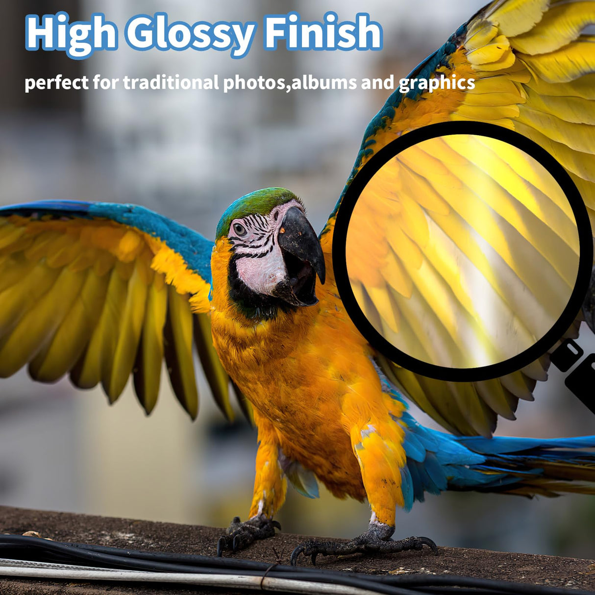 Reastar Glossy Photo Paper 8.5 x 11, 36 Sheets Inkjet Photo Printer Paper, Instant Dry Picture Paper for DIY Chip Bag, Flyers, Cards, Calendars and Brochures(180gsm/48lb) Reastar