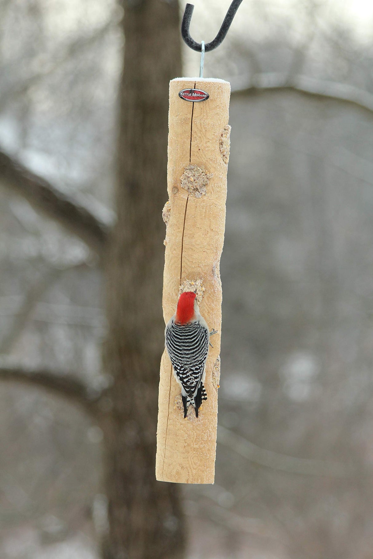 Kettle Moraine Large Cedar Suet Log Feeder for Woodpeckers and Chickadees Kettle Moraine