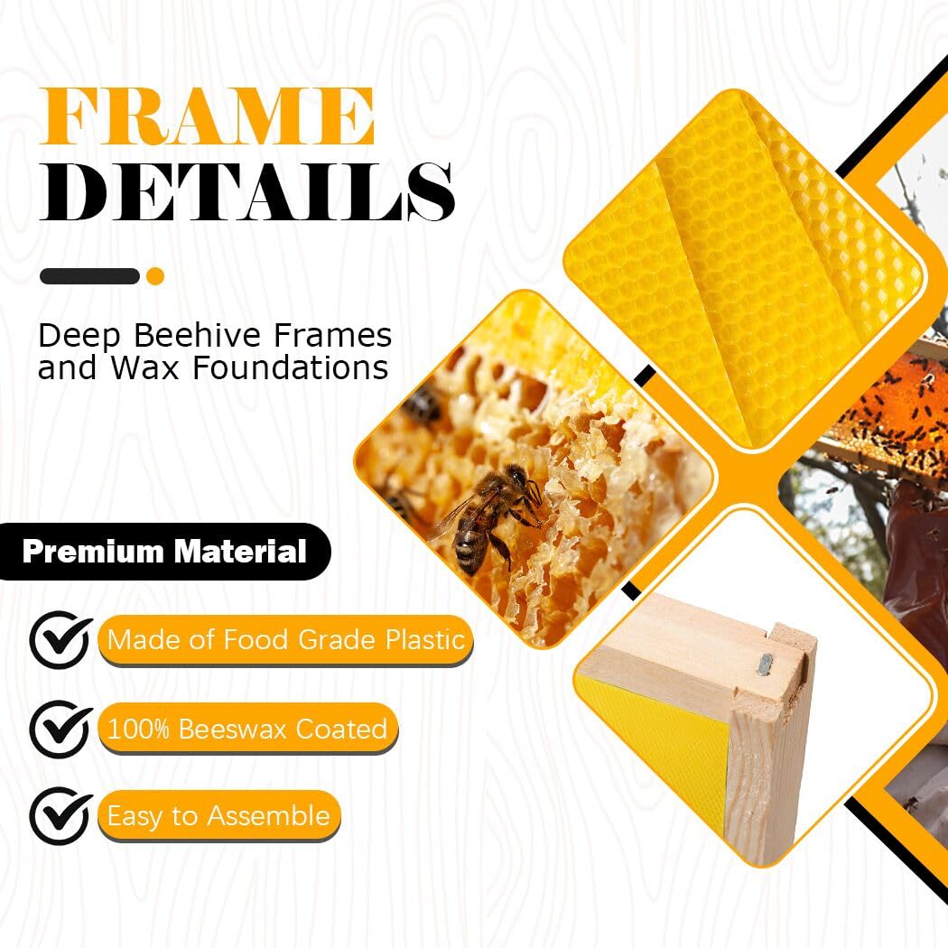 BeeCastle 10 Pack Beehive Frames and Wax Foundations for Deep Brood Bee Hives with Wooden Bee Hive Frames and 100% Beeswax Coated Foundations, 9-1/8-Inch (Yellow) BeeCastle