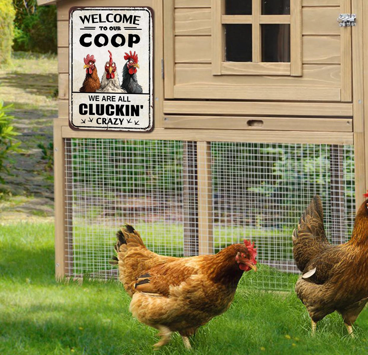 Chicken Coop Accessories Funny Chicken Signs Rooster Decorations Chicken Stuff For Farmhouse Farm Kicthen Decor Welcome To Our Coop 12x8 Inches Shannonsa