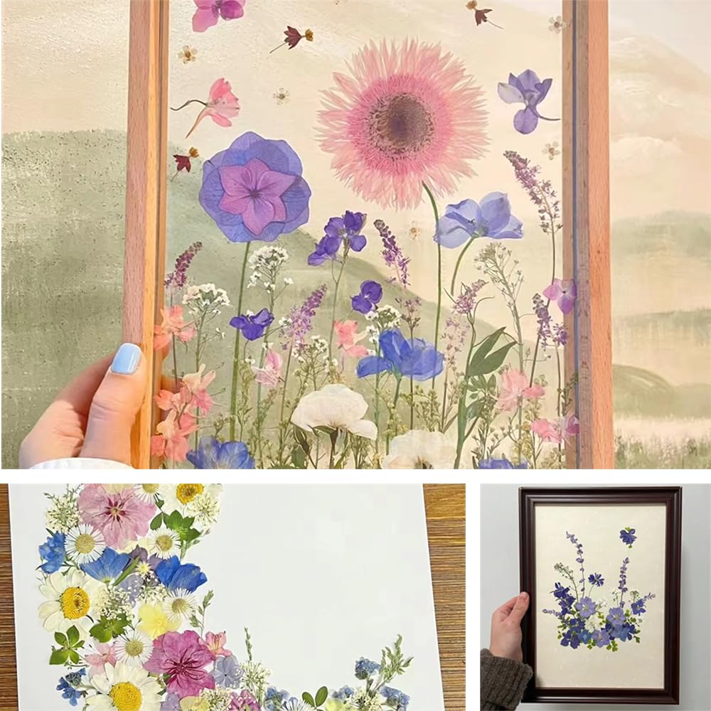 Buzidao Dried Pressed Flowers, 80Pcs Real Natural Pressed Flowers for Resin Nail Art Scrapbooking Candle Jewelry Making Real Bulk Dried Pressed Flowers Resin Supplies Kit (Multi Color-5) Buzidao