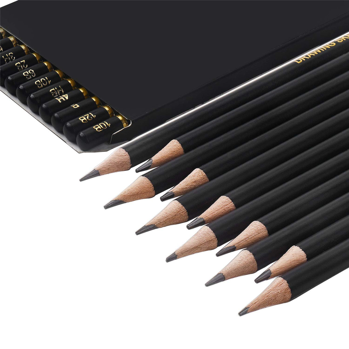 RVOGJP TAMATA Professional Drawing Sketching Pencil Set - 12 Pieces Art Graphite Pencils(12B - 4H), Ideal for Drawing Art, Sketching, Shading, for Beginners & Pro Artists RVOGJP