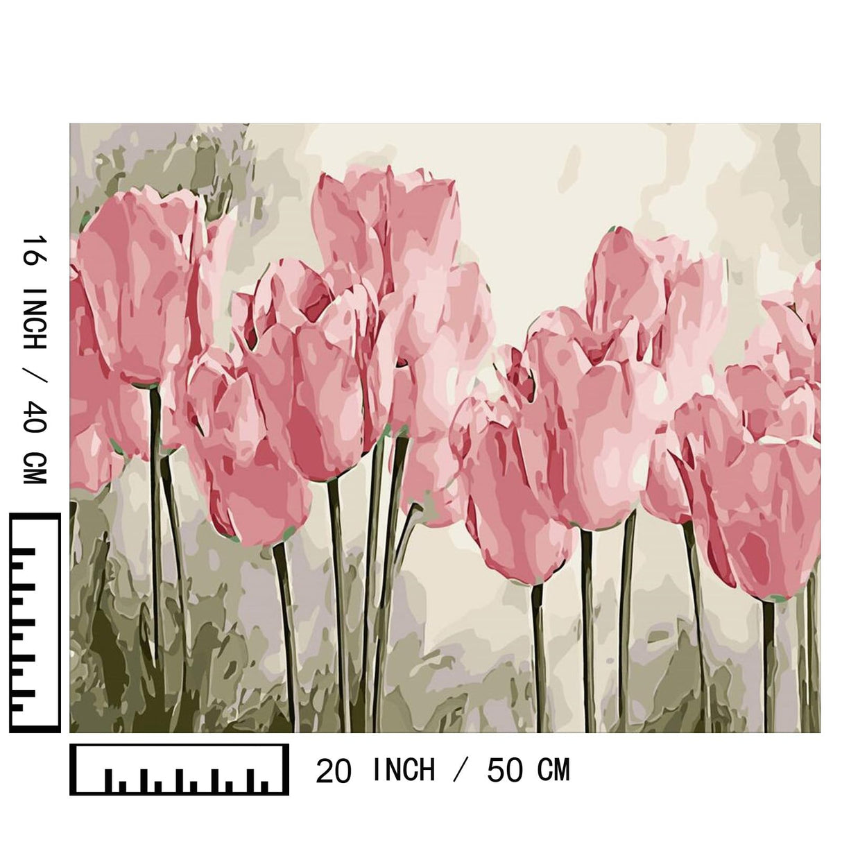 BAISITE Paint by Numbers Kit for Adults Beginners,20" Wx16 L Canvas for Painting Kits for Adults in Colorful Box Poppy Flowers-BSC002 BAISITE